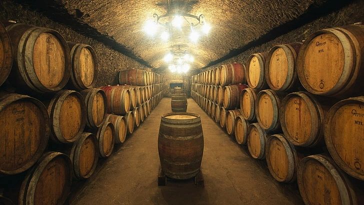 Wine barrels lined up in a cellar.